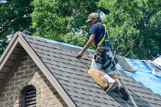 Best Roof Gutter Cleaning  in Smithville, MO